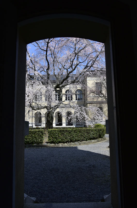 b0042837_1822744.jpg