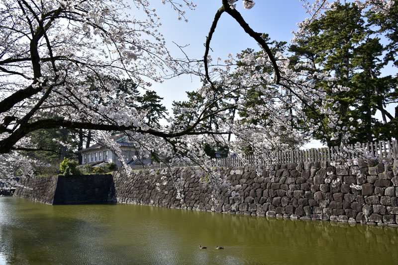b0042837_1884313.jpg