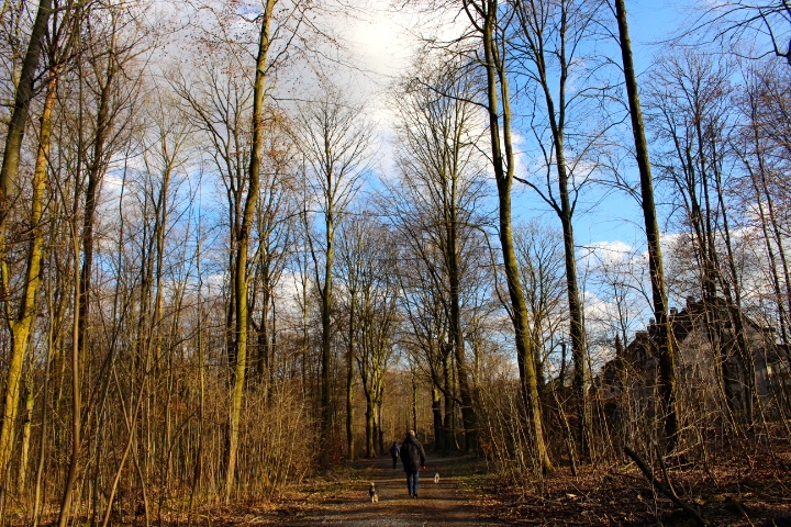c0153740_17225414.jpg