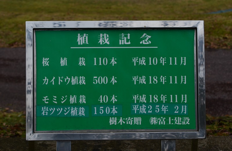 b0288942_853315.jpg