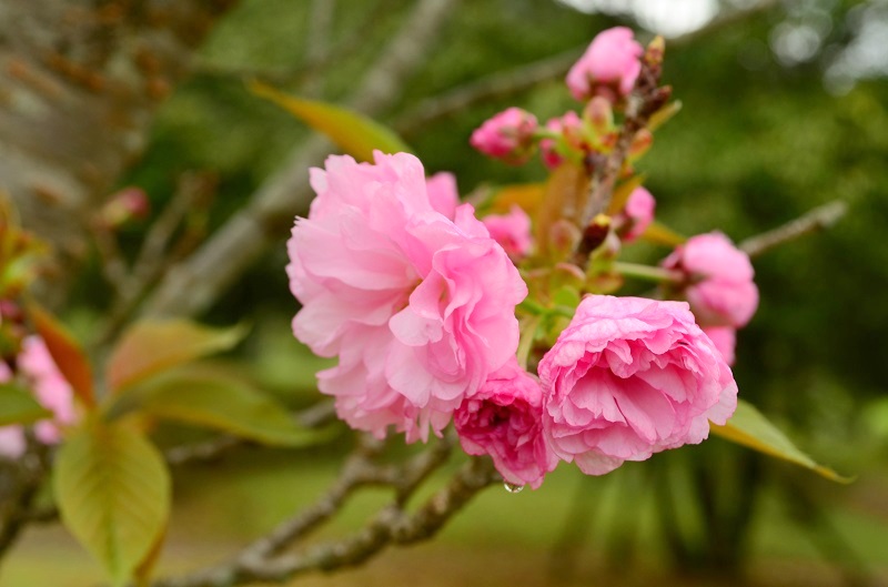 b0288942_9142771.jpg