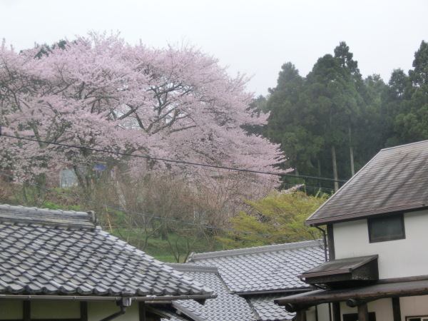 b0132746_22003917.jpg