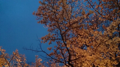 b0327149_8214726.jpg