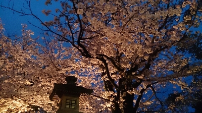 b0327149_8221270.jpg