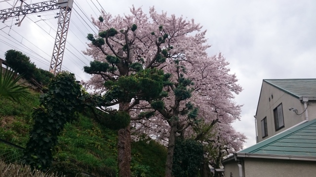 c0145449_23215853.jpg