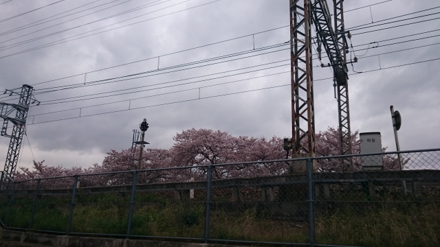 c0145449_23234782.jpg