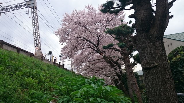 c0145449_23314571.jpg