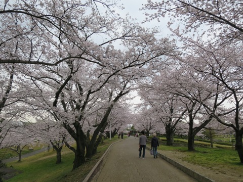 f0202151_18182331.jpg