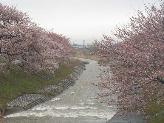 c0327752_10534246.jpg