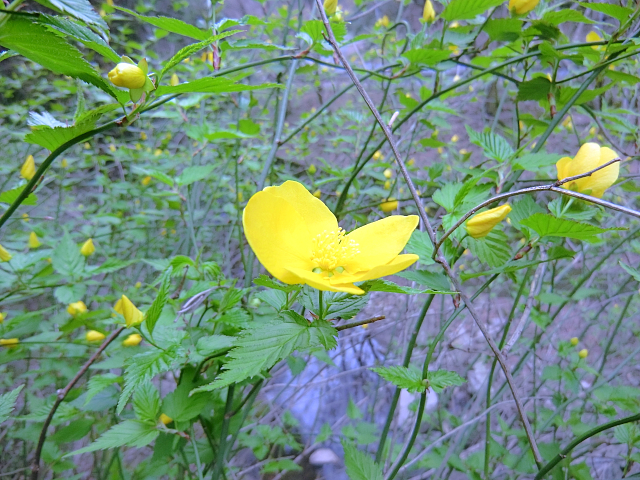 f0356953_21011881.jpg