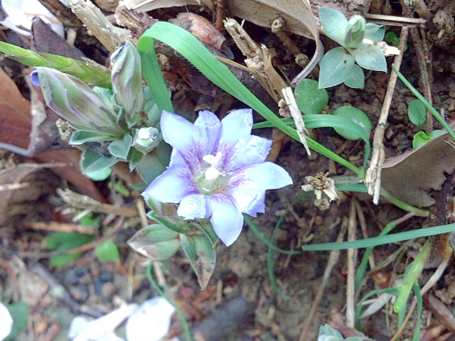 f0356953_21013267.jpg