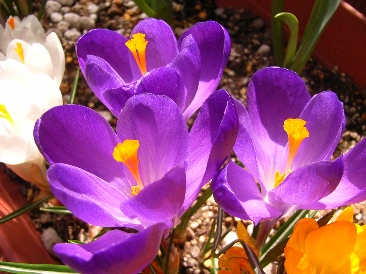 f0257756_1262172.jpg