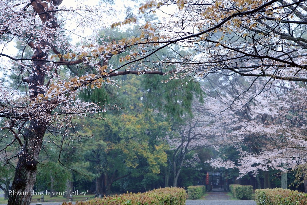 f0251765_1421631.jpg
