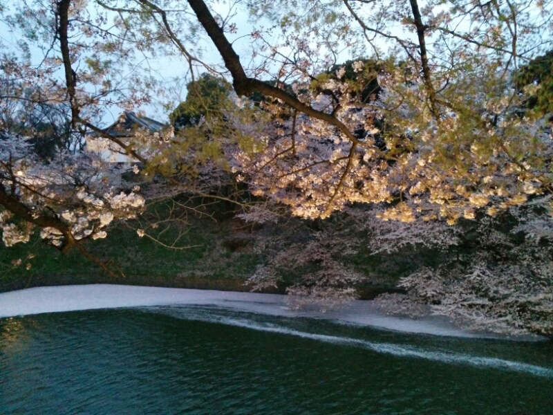 c0127366_21293591.jpg