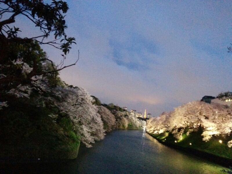 c0127366_21302278.jpg
