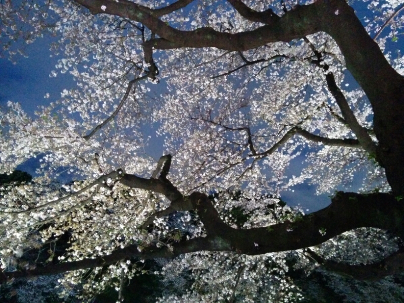 c0127366_21304024.jpg