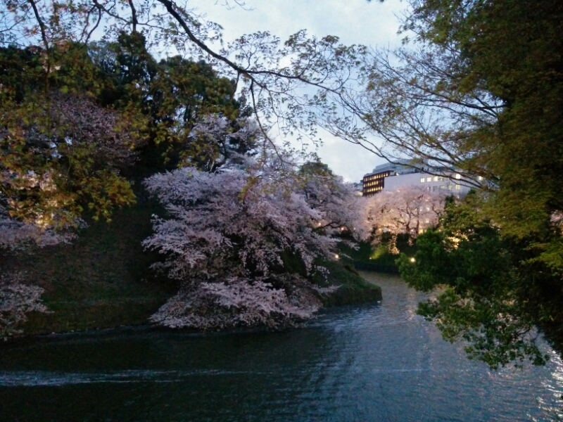 c0127366_213077.jpg