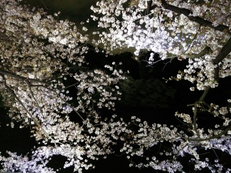 c0127366_21315218.jpg