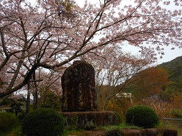 e0175370_231531.jpg