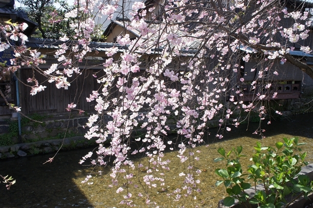 e0177271_16195315.jpg