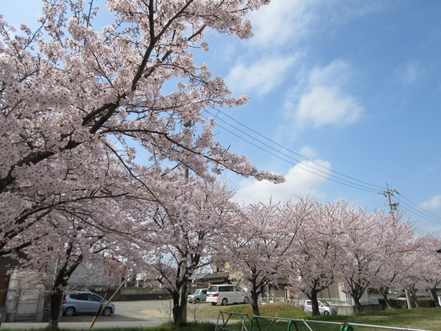 f0100871_20231457.jpg