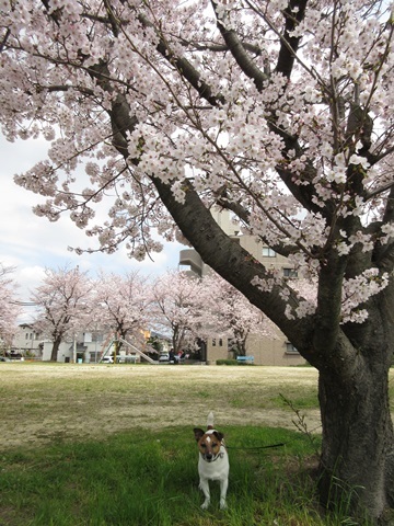 f0100871_20234289.jpg