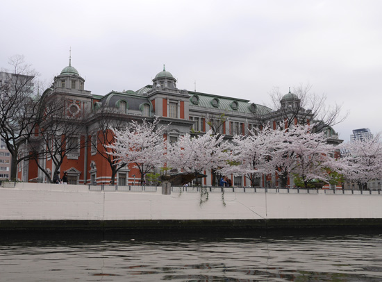 b0086273_81755.jpg