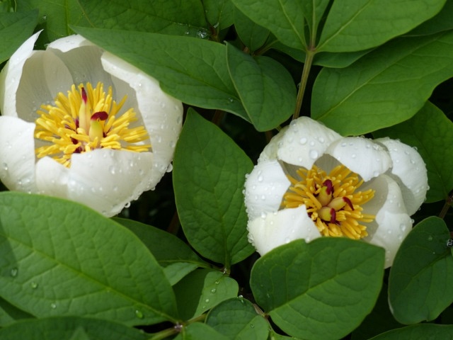 f0357487_2234359.jpg