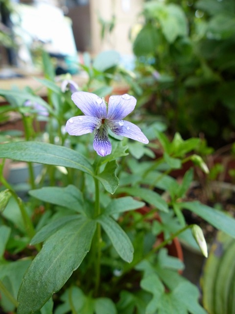 f0357487_2237398.jpg