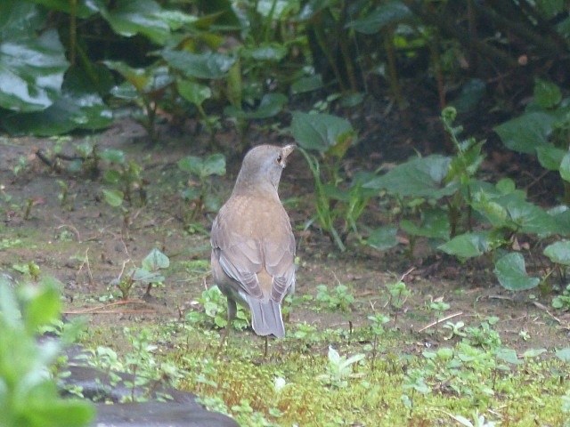 f0357487_22453941.jpg