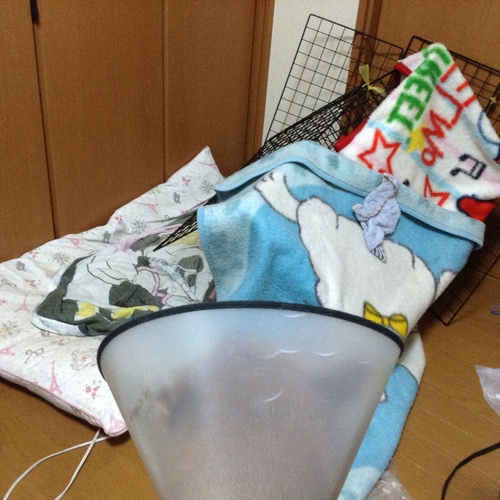 c0123890_2175417.jpg