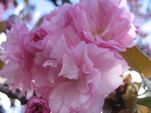 f0201297_23173754.jpg