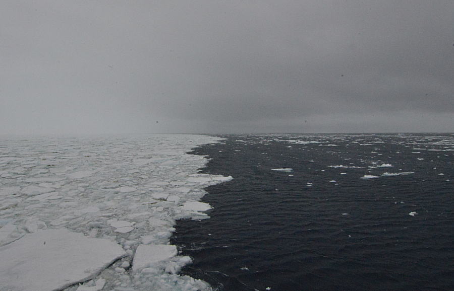 c0193901_8424295.jpg