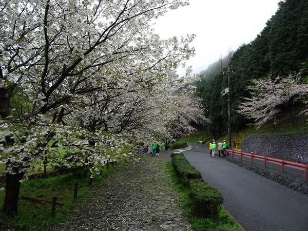 b0052108_24589.jpg