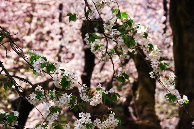 a0263109_13221810.jpg