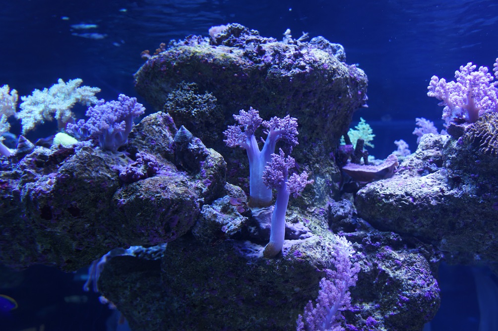 b0112909_19271246.jpg