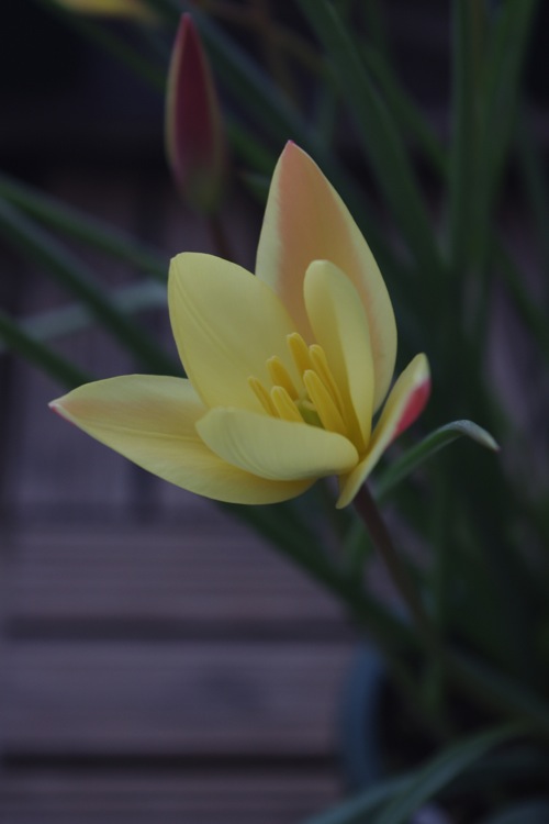 c0147909_1215517.jpg