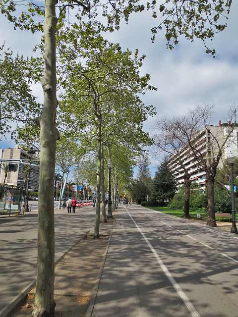 b0064411_04571317.jpg