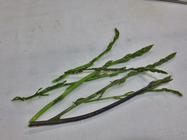 b0064411_05033502.jpg