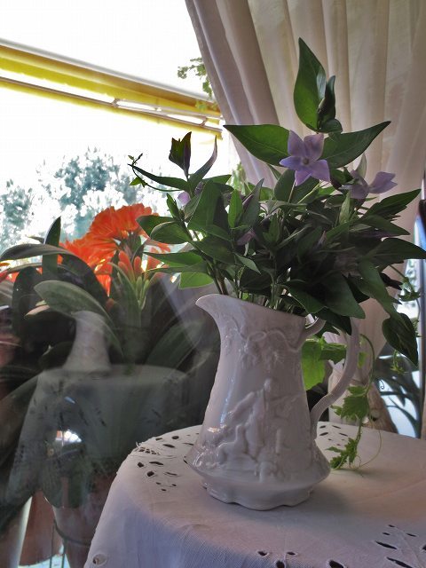 b0064411_05033597.jpg