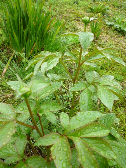 f0228619_94365.jpg