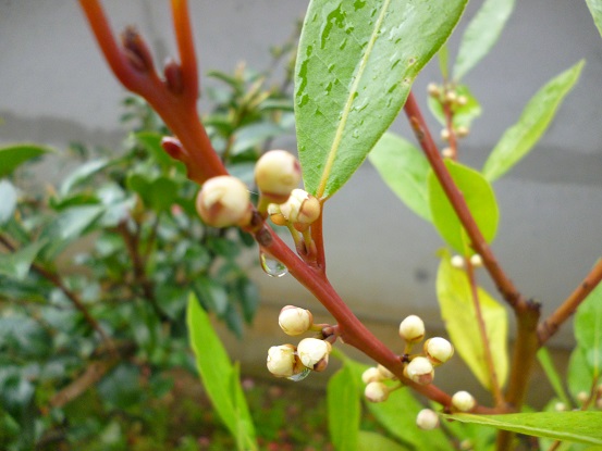 f0228619_94968.jpg