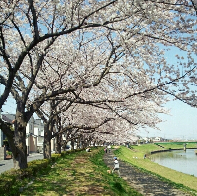 f0304219_20455100.jpg