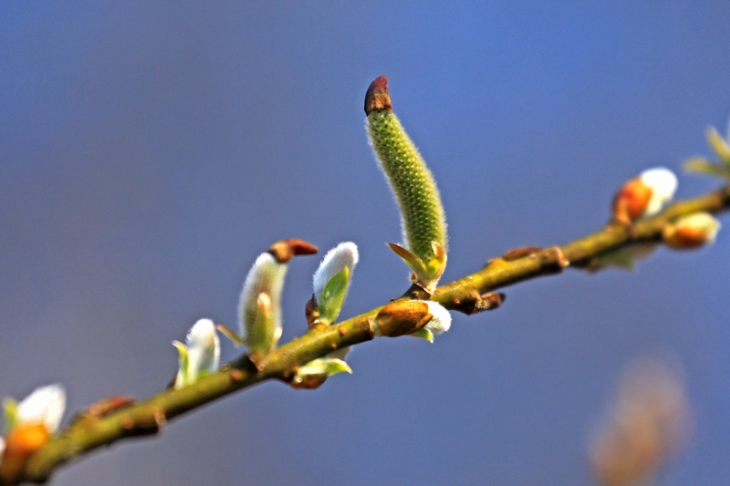 c0104227_141149.jpg
