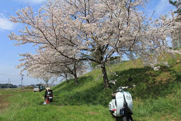 f0225627_15352223.jpg