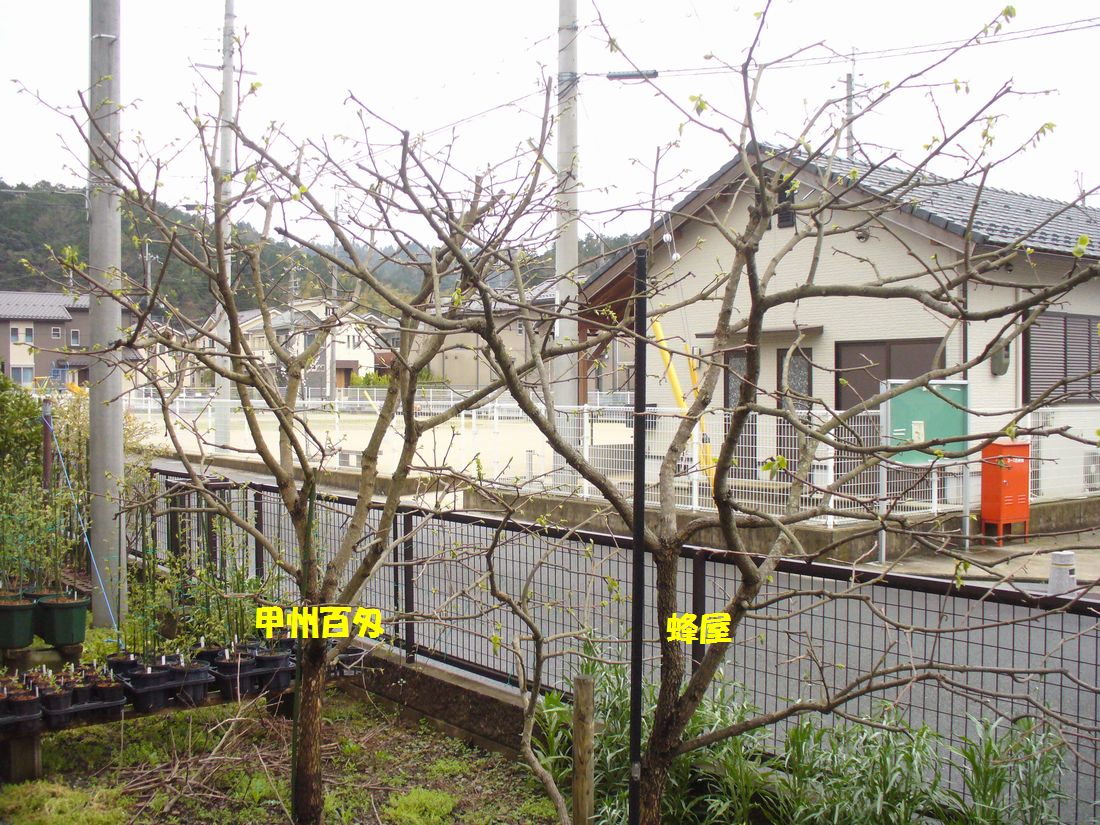 f0346527_22243584.jpg
