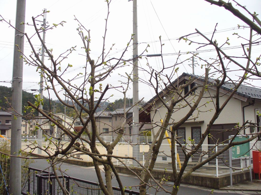 f0346527_22285228.jpg