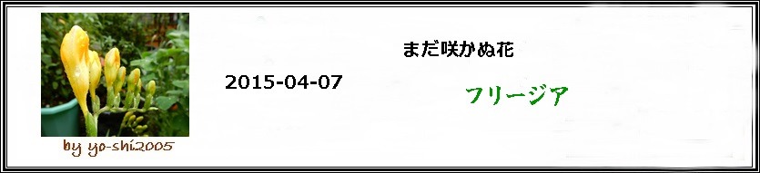 e0033229_20323619.jpg