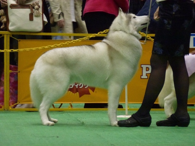 f0077931_20574878.jpg