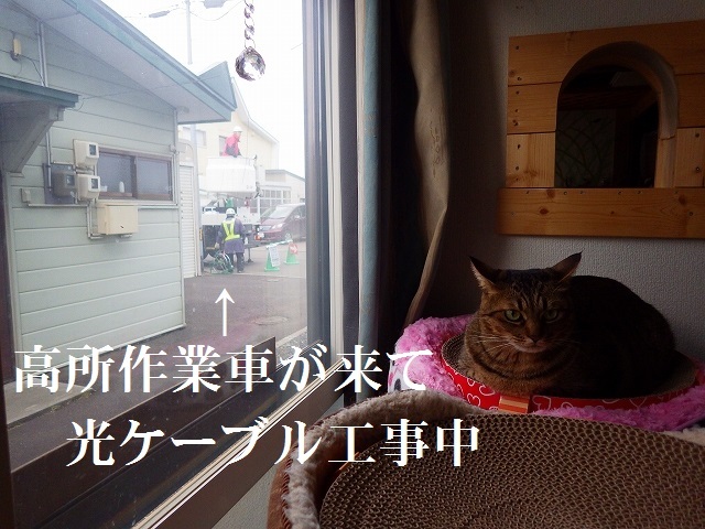 a0337237_16034156.jpg